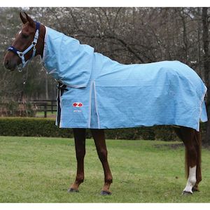 Horse Rug: Zilco Hamilton Combo Rug
