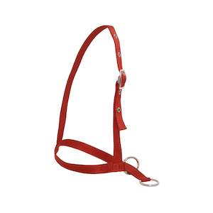 Halters And Lead Ropes: Leading style Calf Halter