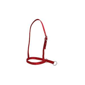 Webbing Cow Halter