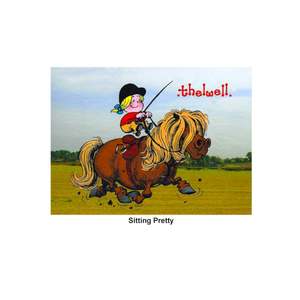 The Yard Sale Oddments Orphans And Other Stragglers: Greeting Cards - Norman Thelwell