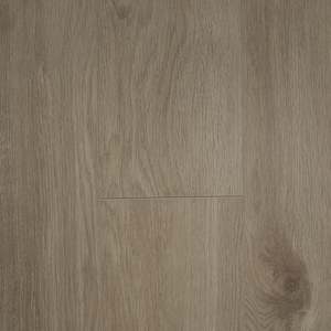 Laminate Floors: Eurus Oak | 406