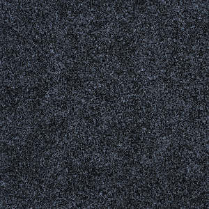 Garage Carpet: Granite