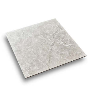 600 x 600 Tile Venus Light Grey
