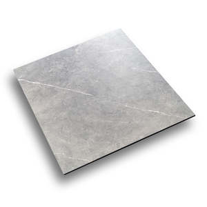 600x600 Tiles: 600 x 600 Tile Stone Light Grey Matt