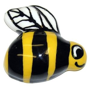 Cat standing front large