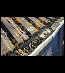 Products: Gutter Cleaning