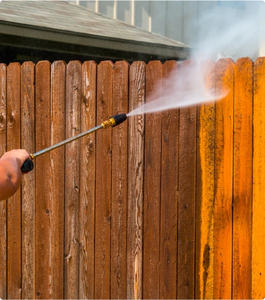 Fence Cleaning