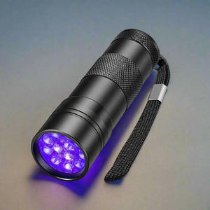 Black Light | Cleansmart