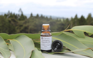 Essential Oils: Eucalyptus Essential Oil - 10ml