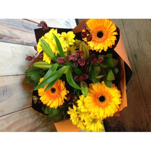 Products: Autumn Bliss