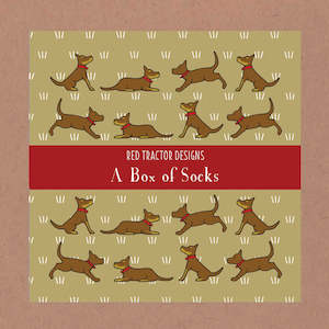 Sit, Stay Dogs Box of Socks