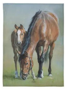 Tea Towel: Mares and Foals 2 Pk Kitchen Towels