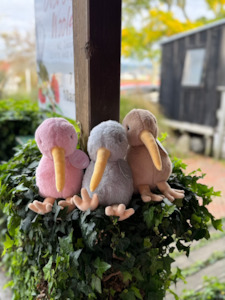 Toys: Pastel Pals Plush Toy Kiwi