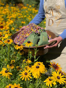 AD Dried Flower Box