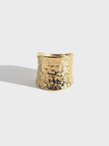 Queen Of The Foxes: Wide Hammered Band