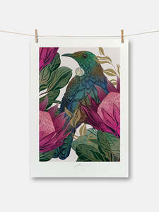 Flox A4 Boutique Print - Antipodes Tūī & King Protea