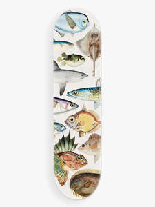 Fishes of NZ Skateboard Deck