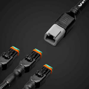 Stedi: STEDI 9 Plug Array Harness