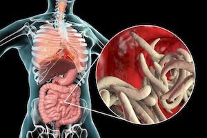 Faecal Parasites Test
