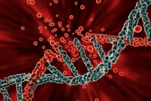 Functional Tests: Methylation Gene MTHFR Advanced
