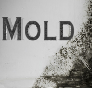 Functional Tests: Mycotoxin Panel Initial