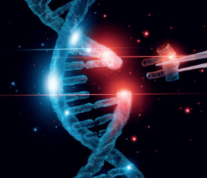 Functional Tests: Methylation Gene MTHFR Basic