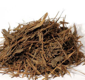 Plant medicine: Pau d’Arco Tea