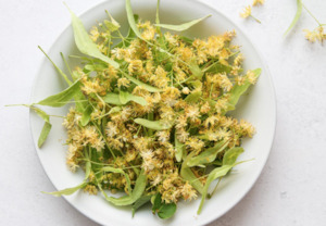Plant medicine: Linden blossom Tea