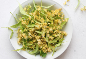 Plant medicine: Linden blossom Tea