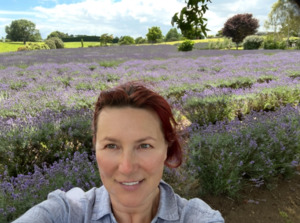 Plant medicine: Lavender flowers