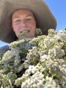 Plant medicine: Relaxing Tea for sleep with Valerian and Yarrow