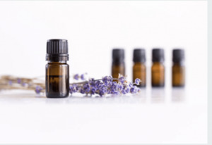 Aromatherapy: “Immune Guard” blend of essential oils ready for skin application