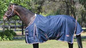 Winter Rugs: Defender Rug