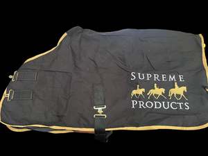 Winter Rugs: mini dress rug 5 only