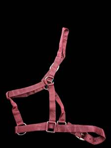 Burgundy Halter