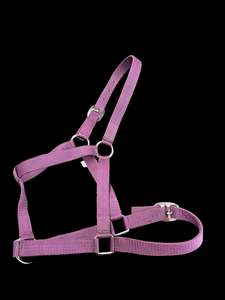 Plum halter