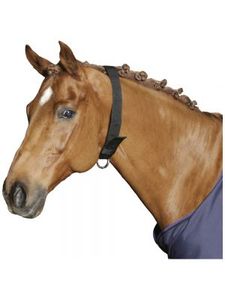 Halters Leads: wind sucking collar