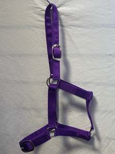 Halters Leads: Purple Halter