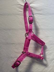 Halters Leads: Pink Halter