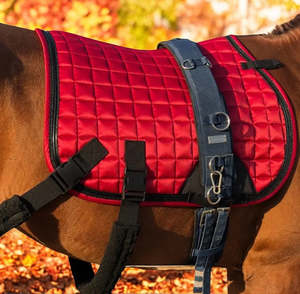 Polyester Training saddle pad