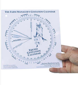 Grooming And Turnout: Mare gestation calendar