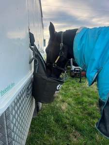 Hungry Horse Holster, Bucket bag