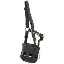 Feeding: BLUE TAG GRAZING MUZZLE