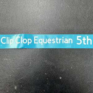 5th Ribbon (light Blue)