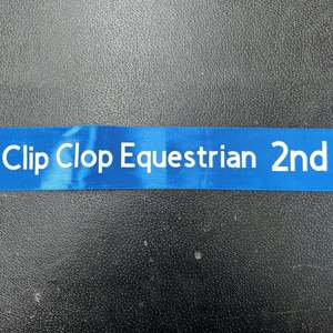 Printed Ribbons: 2nd Ribbon (blue)