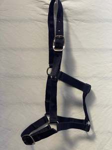 Halters Leads: Navy Halter