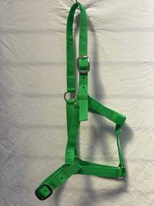 Halters Leads: Light Green Halter