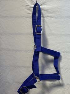 Halters Leads: Royal Blue Halter