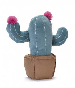 Baby Child: Blooming Cactus