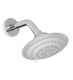 Raymor Brighton Multi Function Shower Rose